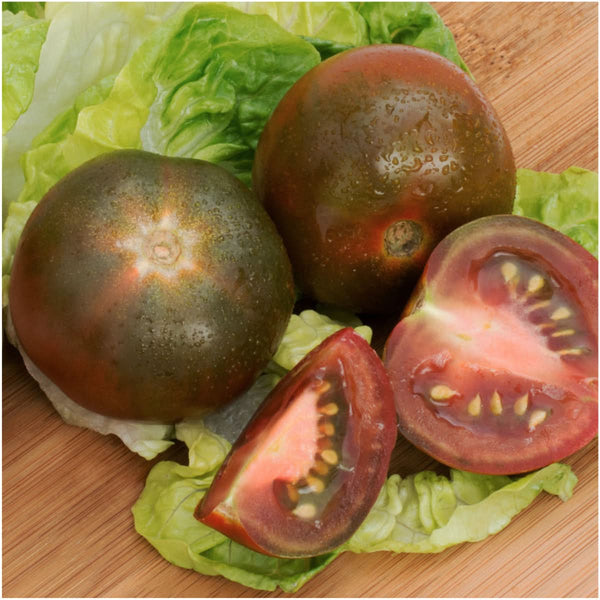 Black From Tula Tomato Seeds For Planting (Solanum lycopersicum)