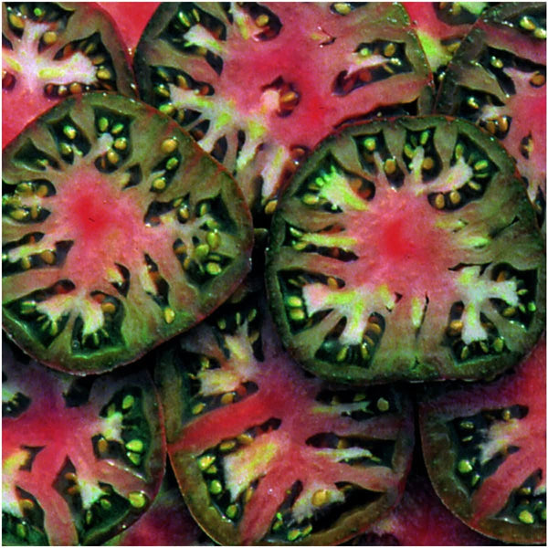 Black Tomato Seed Collection