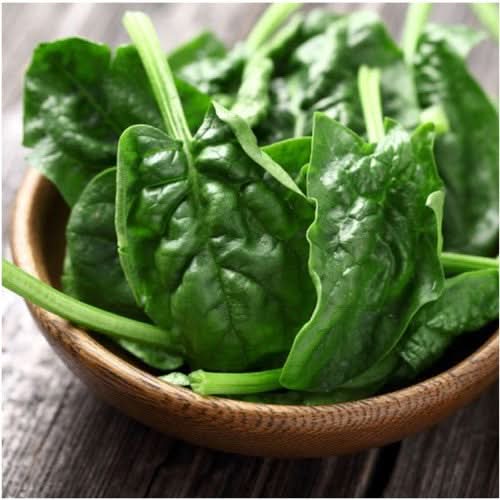 Bloomsdale Long Standing Spinach Seeds For Planting (Spinacia oleracea)
