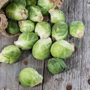 Brussels Sprout Seeds For Planting, Long Island Improved (Brassica oleracea)