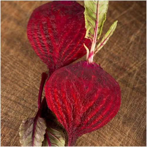 bulls blood Beet