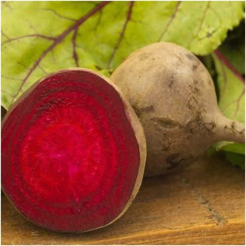 bulls blood Beet