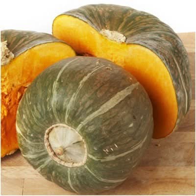 Burgess Buttercup Winter Squash Seeds For Planting (Cucurbita pepo)