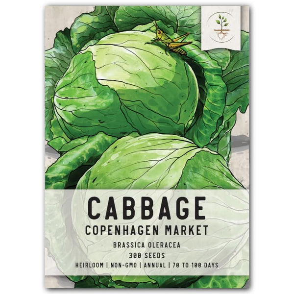 copenhagen market cabbage seeds for planting