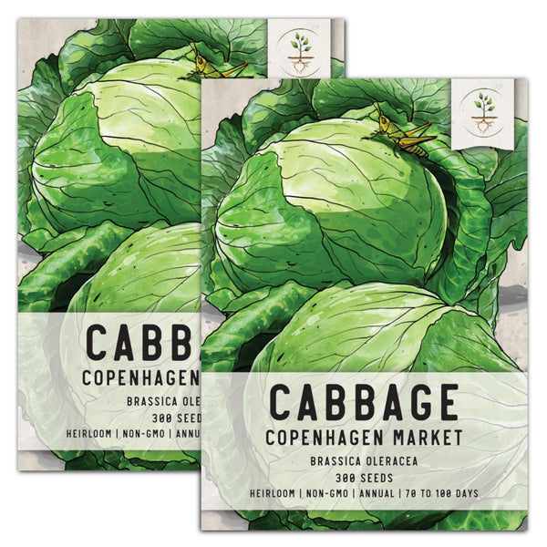 copenhagen market cabbage seeds for planting