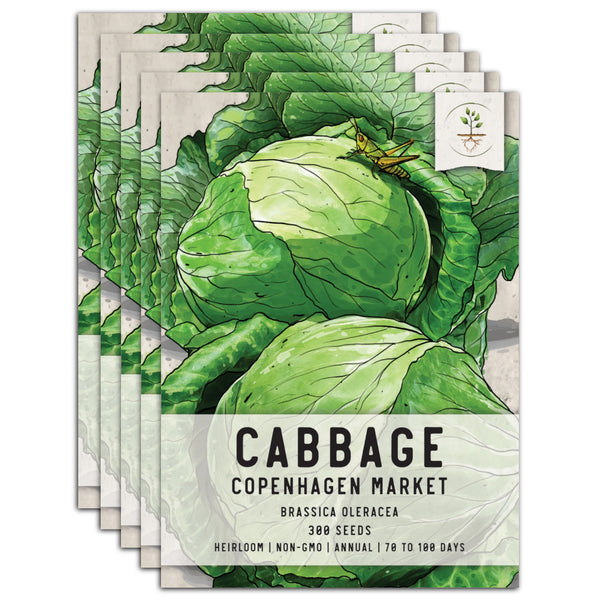 copenhagen market cabbage seeds for planting
