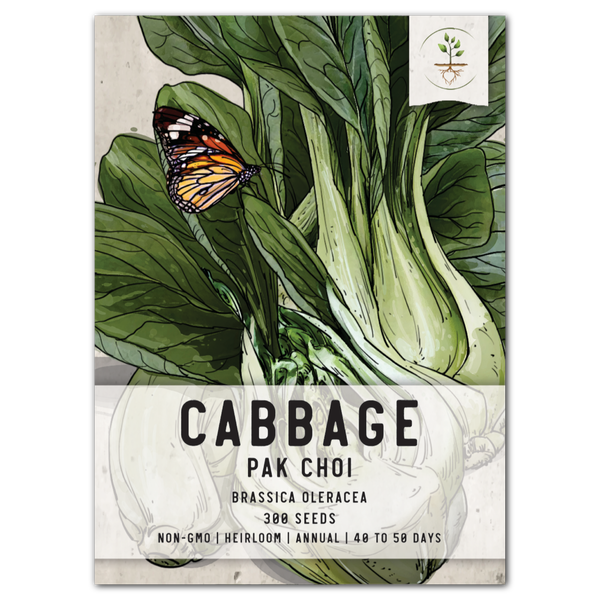 Pak Choy White Stem Cabbage Seeds For Planting (Brassica rapa)