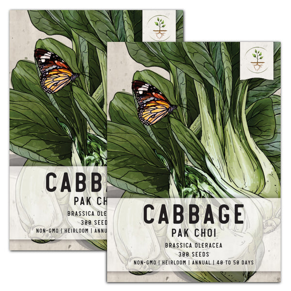 Pak Choy White Stem Cabbage Seeds For Planting (Brassica rapa)
