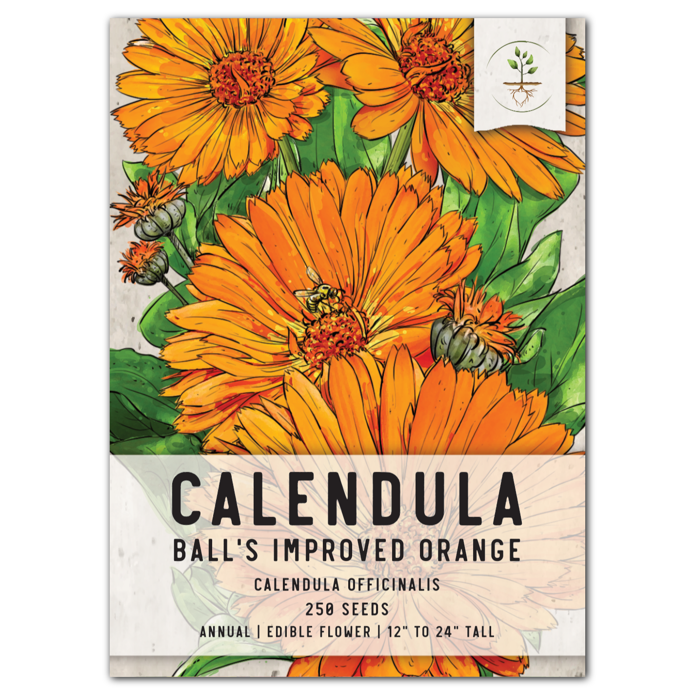 Balls Improved Orange Calendula (Calendula officinalis)