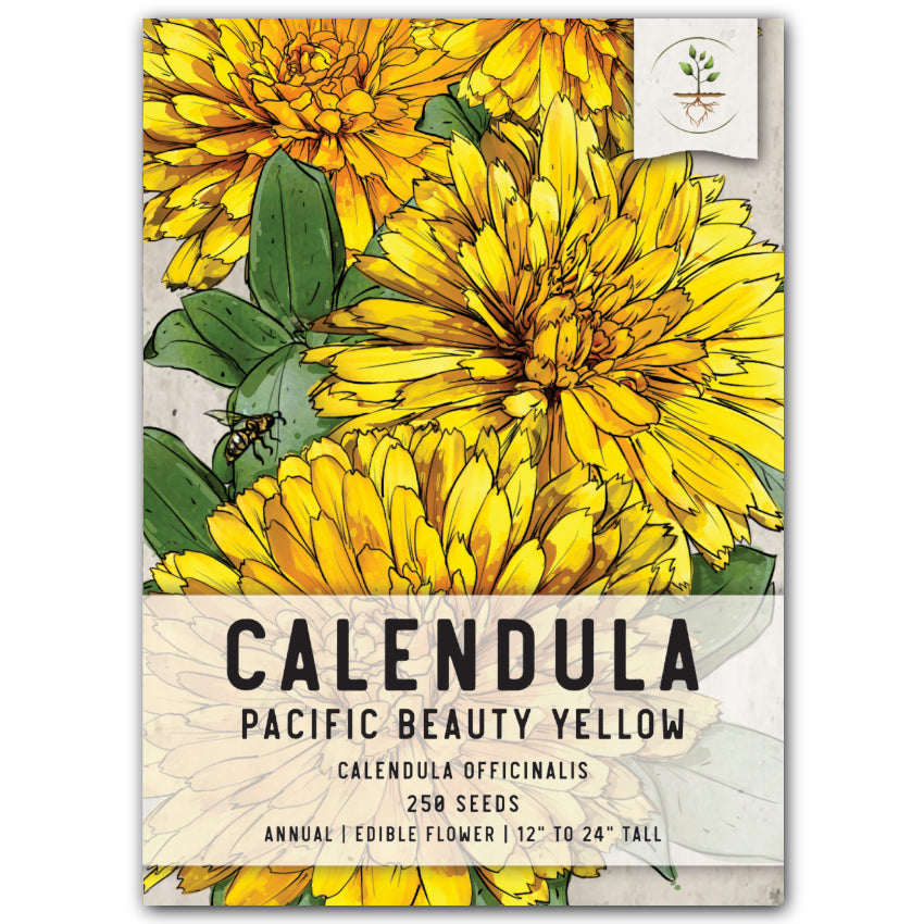 Pacific Beauty Yellow Calendula (Calendula officinalis)