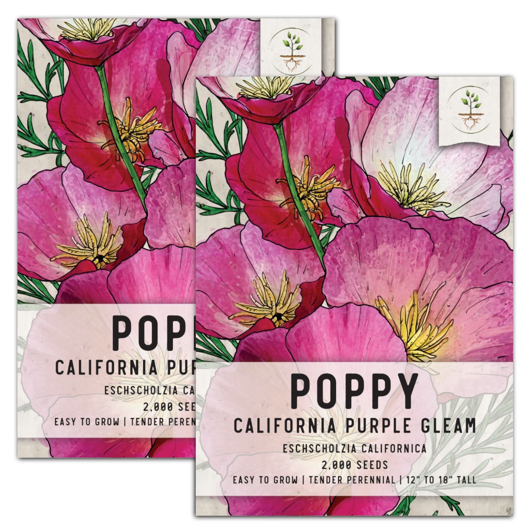 Purple Gleam California Poppy Seeds For Planting (Eschscholzia