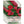 Cardinal Climber Seeds For Planting (Ipomoea quamoclit)