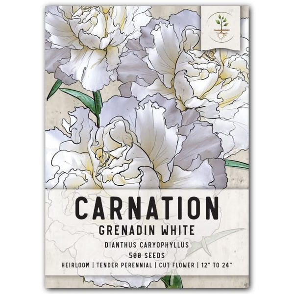 plant carnation seeds Grenadin White Carnation Seeds (Dianthus caryophyllus)
