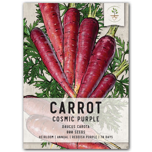 cosmic purple carrot seeds for planting