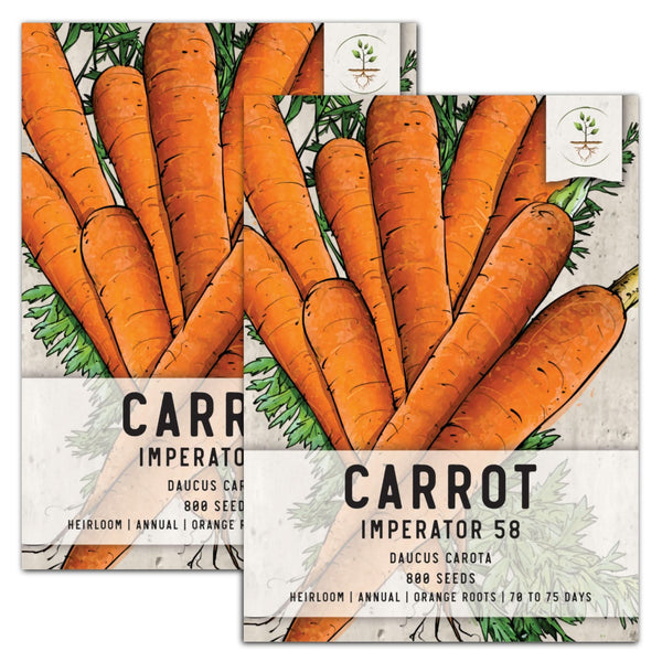 Imperator 58 Carrot Seeds For Planting (Daucus carota)