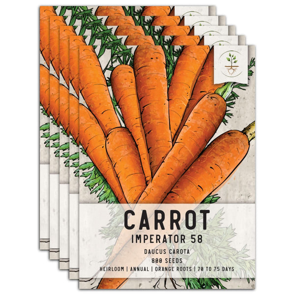 Imperator 58 Carrot Seeds For Planting (Daucus carota)