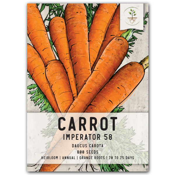 Imperator 58 Carrot Seeds For Planting (Daucus carota)