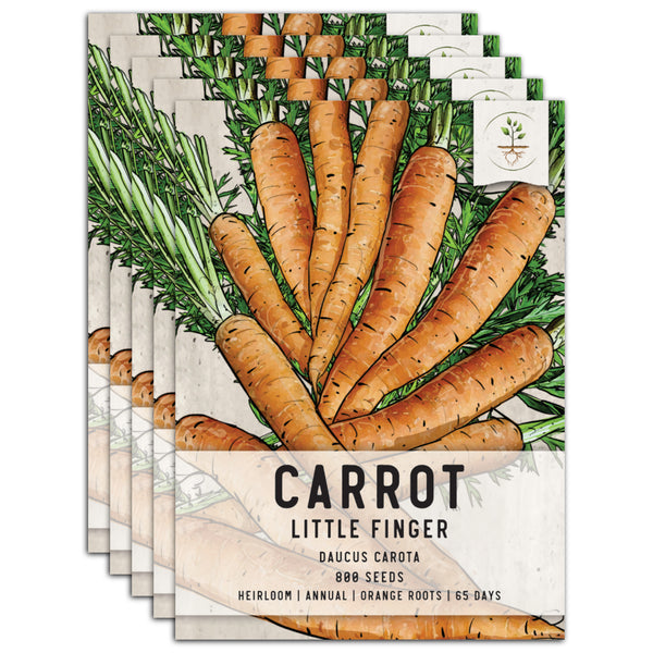 Little Finger Carrot Seeds For Planting (Daucus carota)
