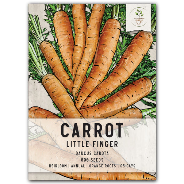Little Finger Carrot Seeds For Planting (Daucus carota)