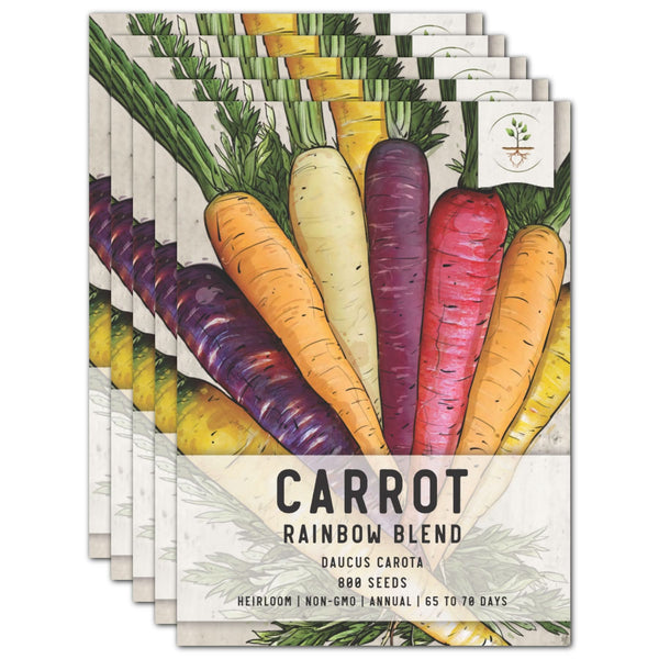 carrot seeds for planting Rainbow Carrot Seeds For Planting (Daucus carota) Seed Needs – Seed Needs LLC