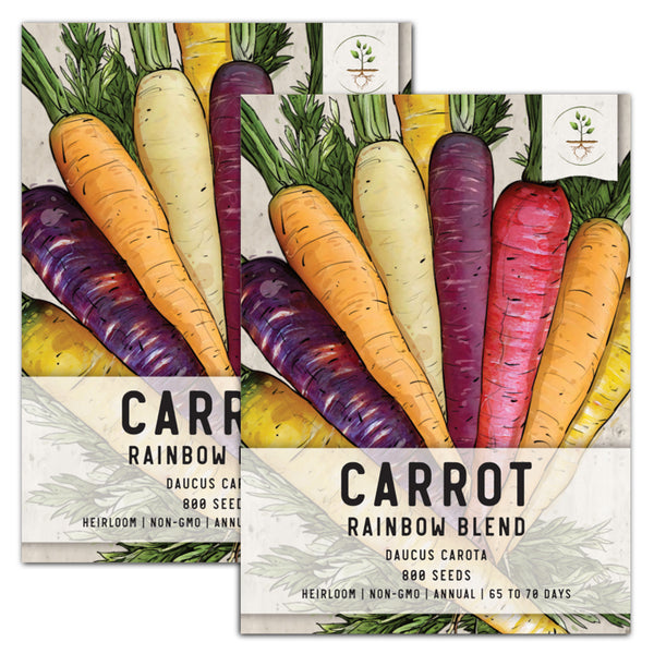 Rainbow Carrot Seeds For Planting (Daucus carota)