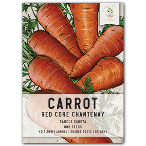 red core chantenay carrot seeds for planting