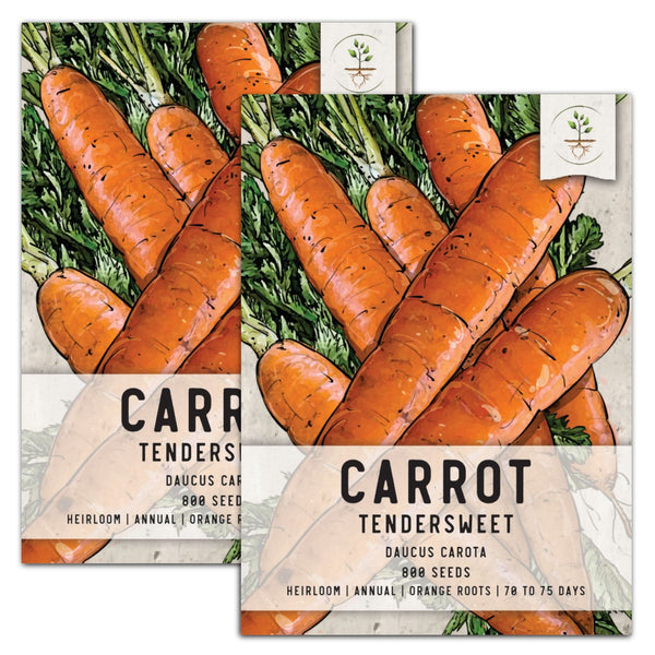 tendersweet carrot seeds for planting