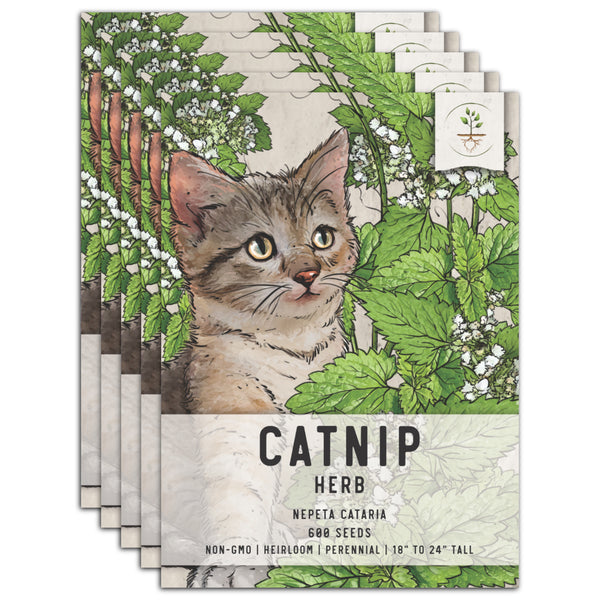 Catnip Herb Seeds For Planting (Nepeta cataria)