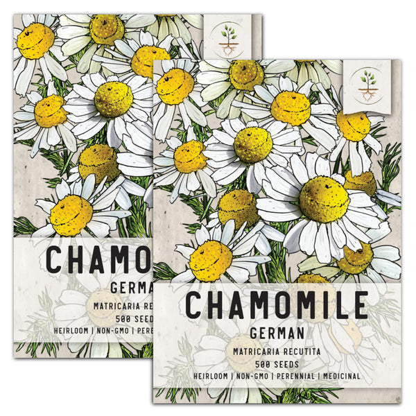 German Chamomile Herb Seeds For Planting (Matricaria recutita)