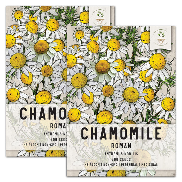 Roman Chamomile Herb Seeds For Planting (Anthemus nobilis)
