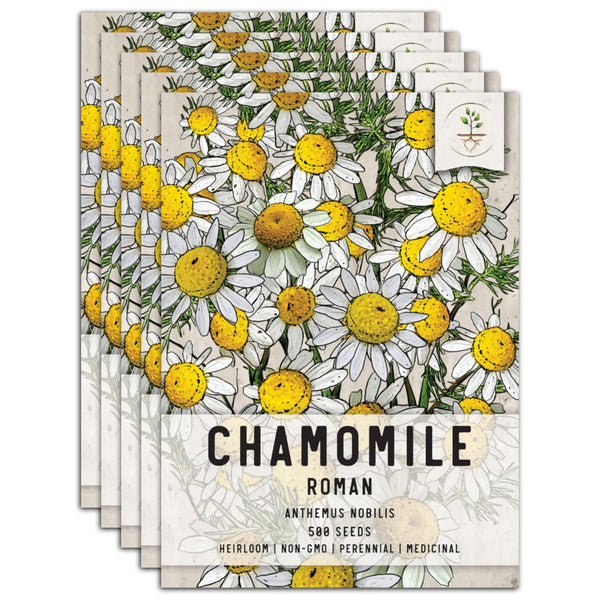 Roman Chamomile Herb Seeds For Planting (Anthemus nobilis)