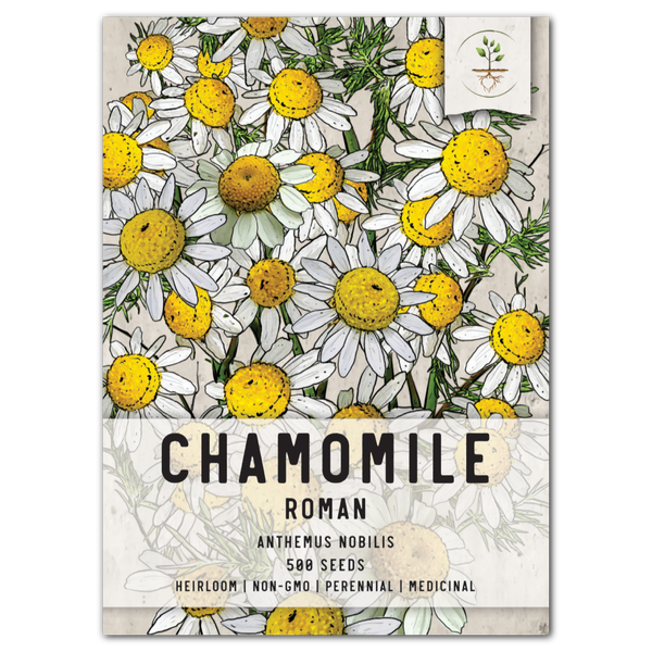 Roman Chamomile Herb Seeds For Planting (Anthemus nobilis)