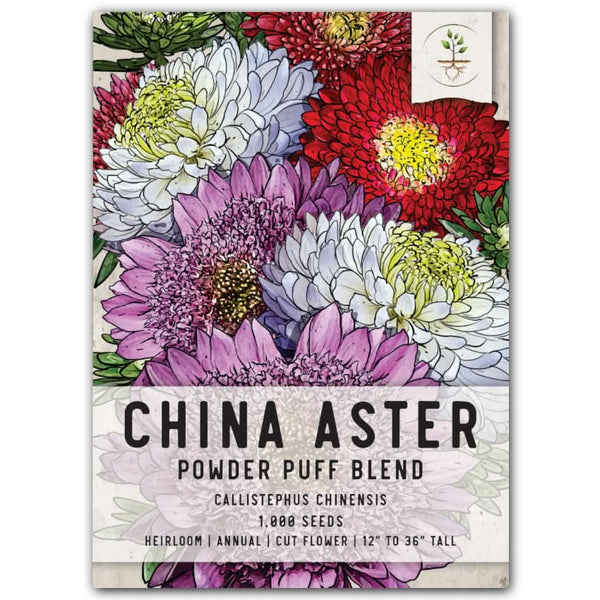 Powder Puff China Aster Seeds For Planting (Callistephus chinensis)