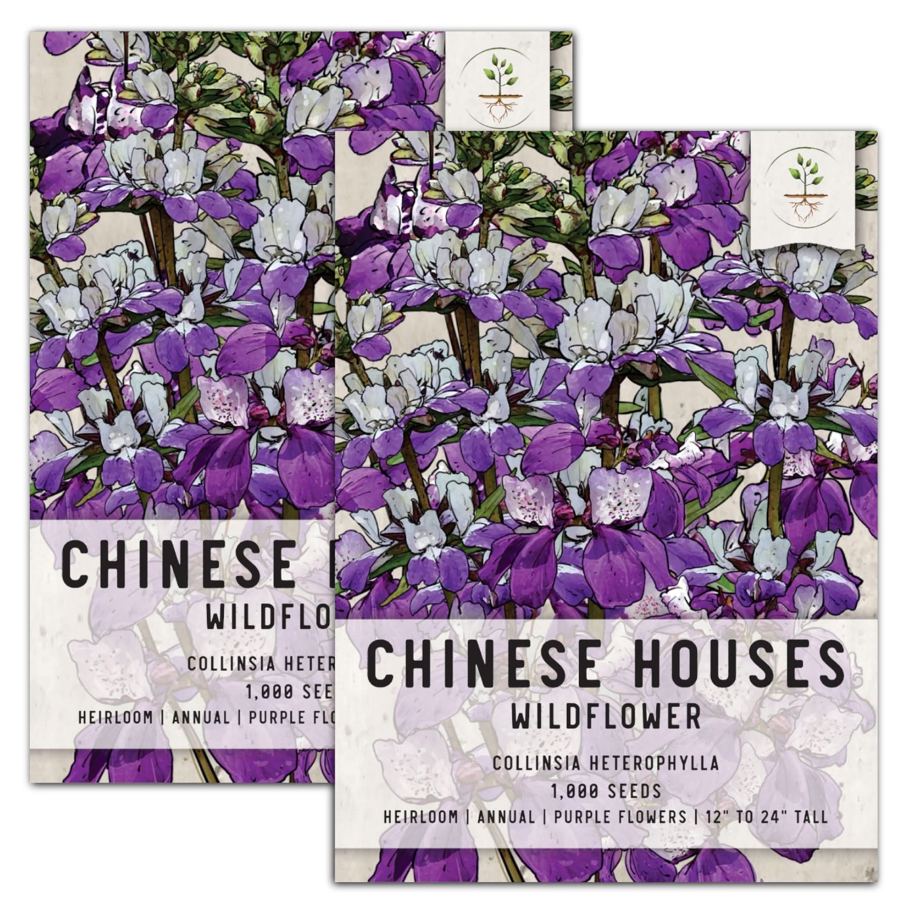 Chinese Houses Seeds For Planting (Collinsia heterophylla) – Seed