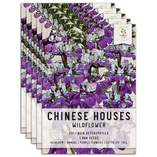 Chinese Houses Seeds For Planting (Collinsia heterophylla)