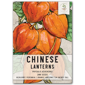 chinese lantern seeds for planting