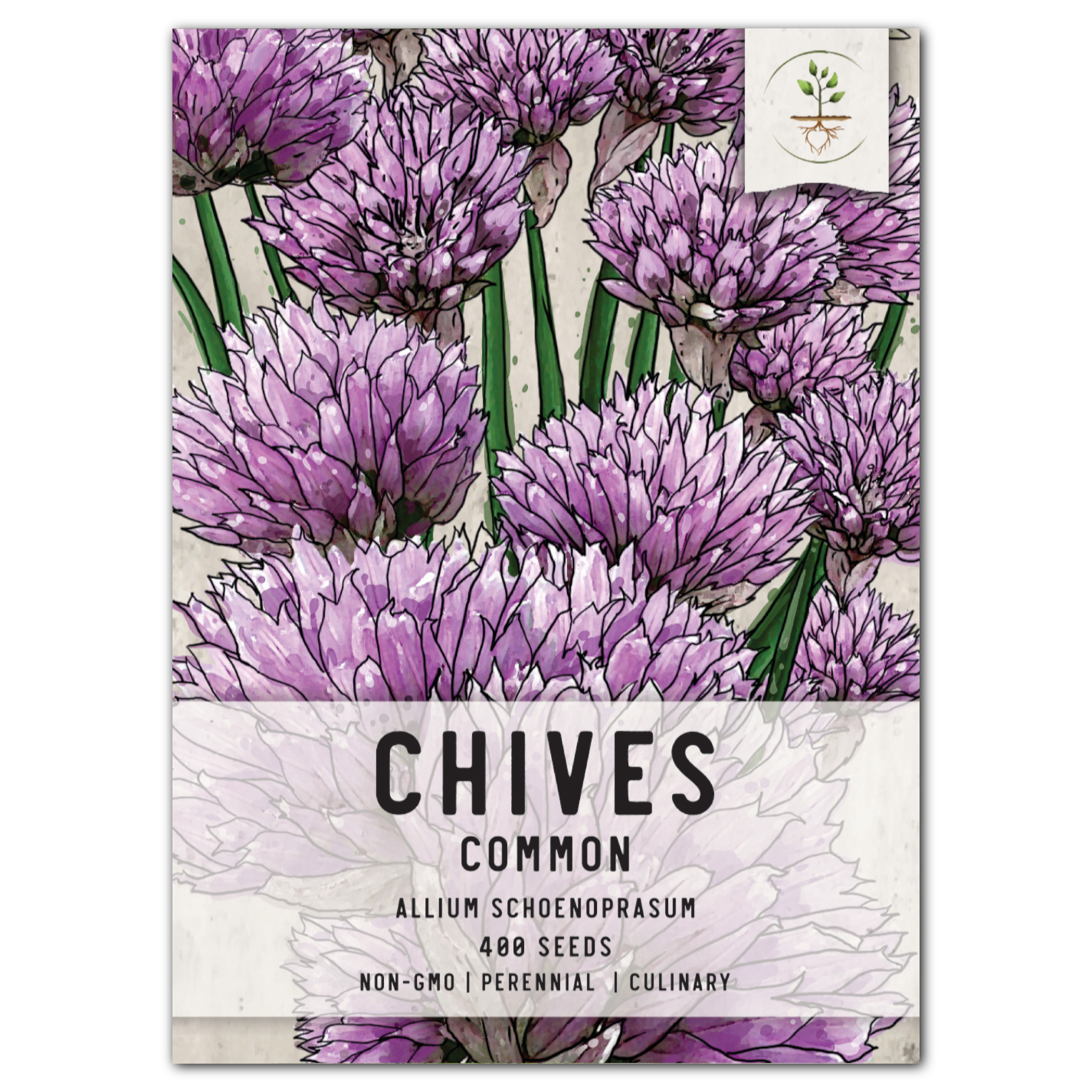 Common Chives Herb Seeds For Planting (Allium schoenoprasum)
