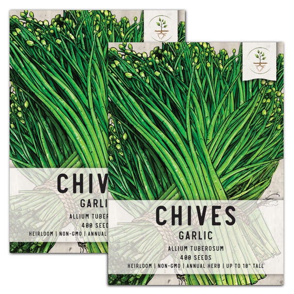 Garlic Chives Herb Seeds For Planting (Allium tuberosum)