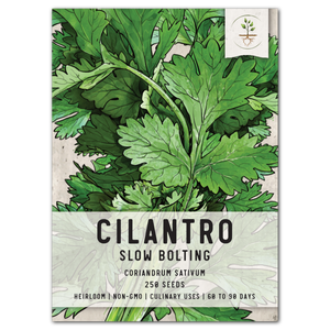 cilantro seeds for planting