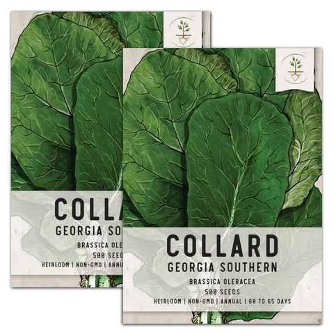 Georgia Southern Collard Seeds For Planting (Brassica oleracea)