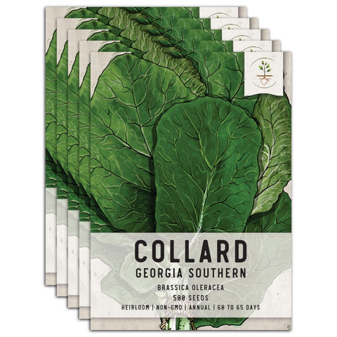 Georgia Southern Collard Seeds For Planting (Brassica oleracea)