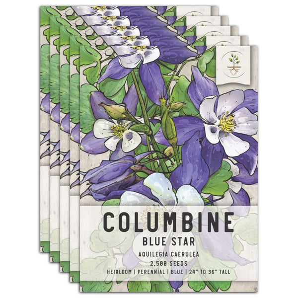 Blue Star Columbine Seeds For Planting (Aquilegia caerulea)