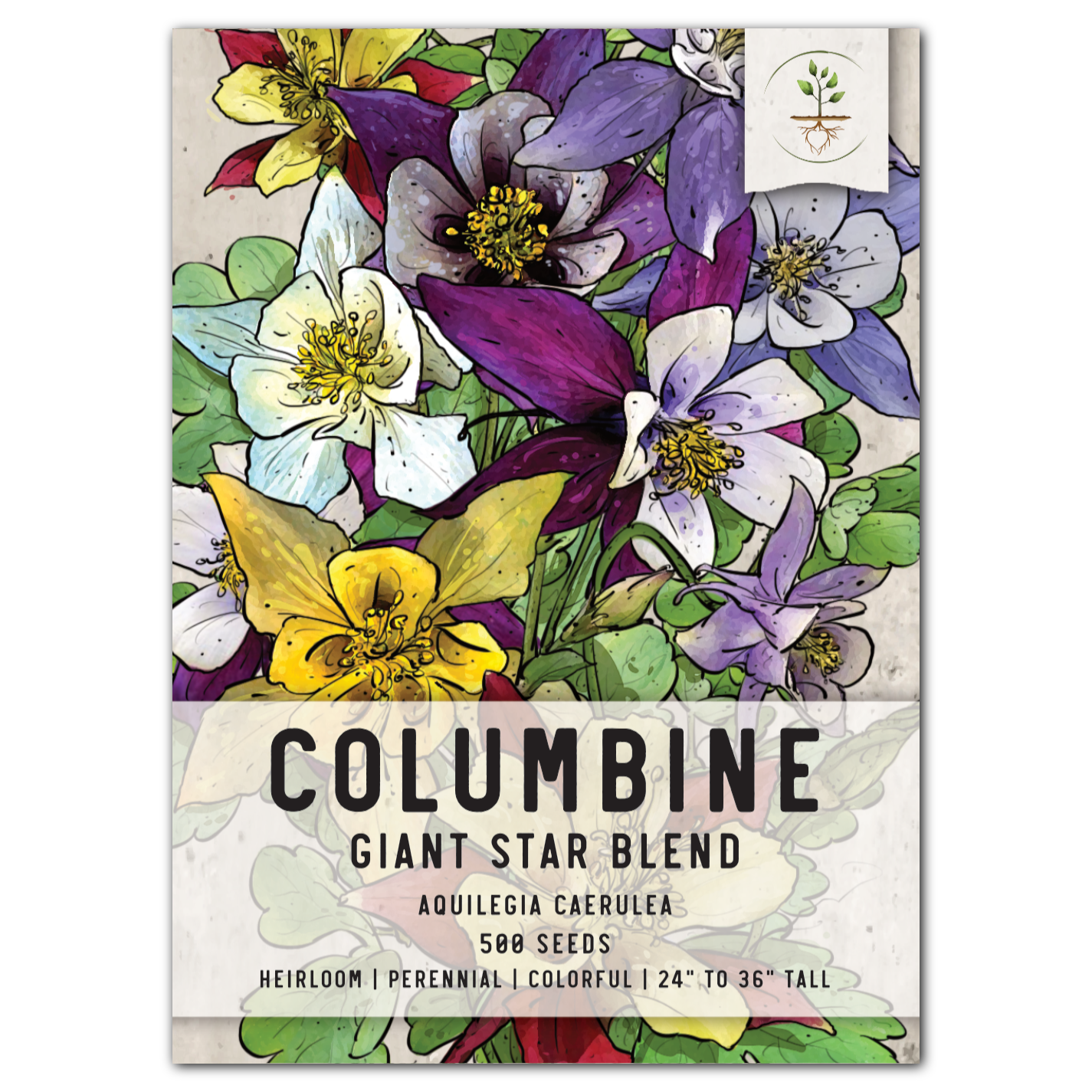 Giant Star, Mckana's Columbine Seeds For Planting (Aquilegia caerulea)