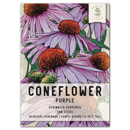 Purple Coneflower Seeds For Planting (Echinacea purpurea)
