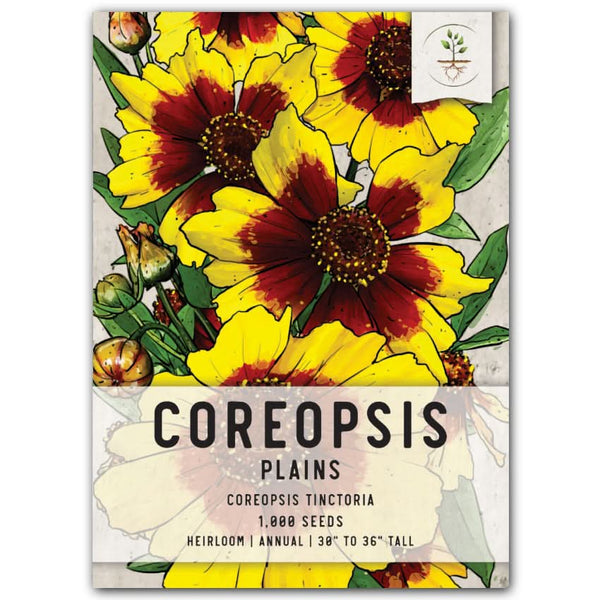 Coreopsis Plains Seeds For Planting (Coreopsis tinctoria)