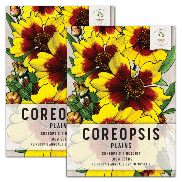 Coreopsis Plains Seeds For Planting (Coreopsis tinctoria)