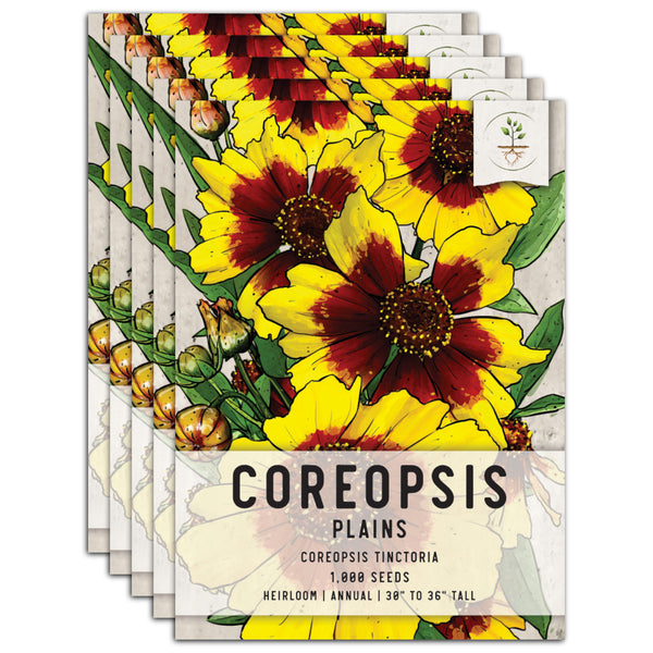 Coreopsis Plains Seeds For Planting (Coreopsis tinctoria)