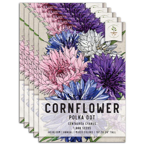 Polka Dot Mixed Cornflower Seeds For Planting (Centaurea cyanus)