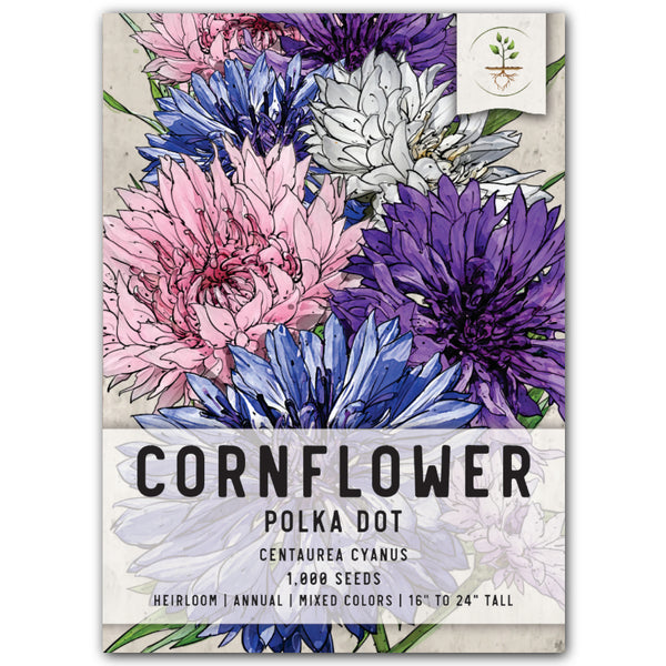 Polka Dot Mixed Cornflower Seeds For Planting (Centaurea cyanus)