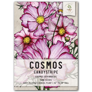 Crazy Blend Cosmos Seeds For Planting